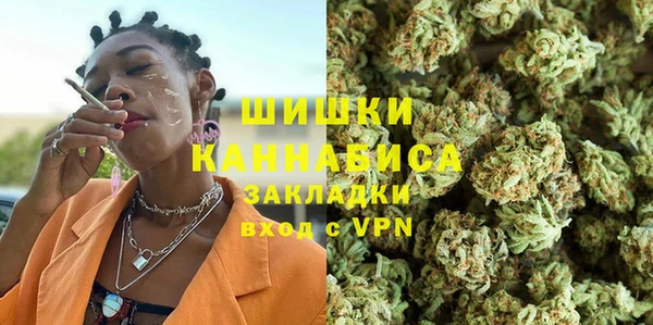 сатива Тында