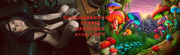 сатива Тында