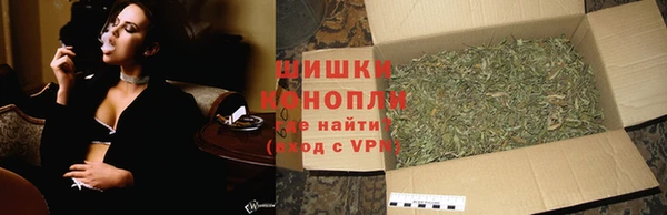 сатива Тында