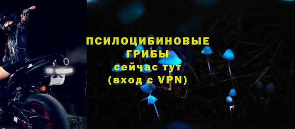 сатива Тында