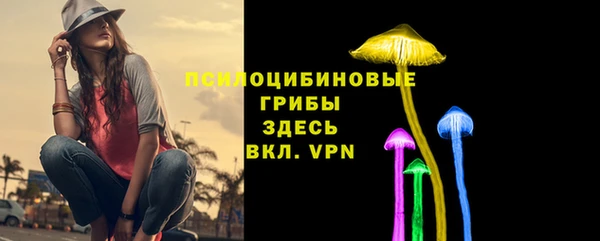 сатива Тында