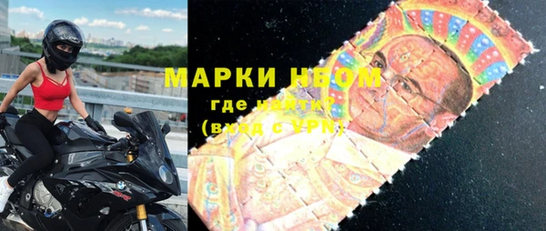 сатива Тында