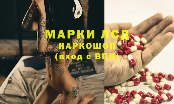 сатива Тында