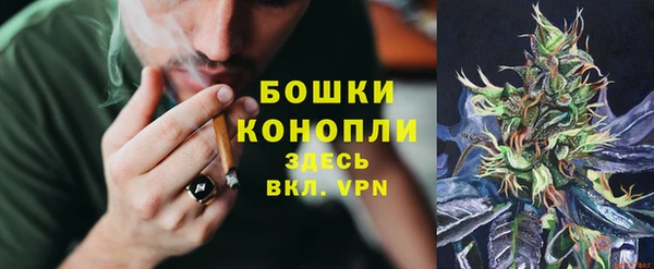 сатива Тында