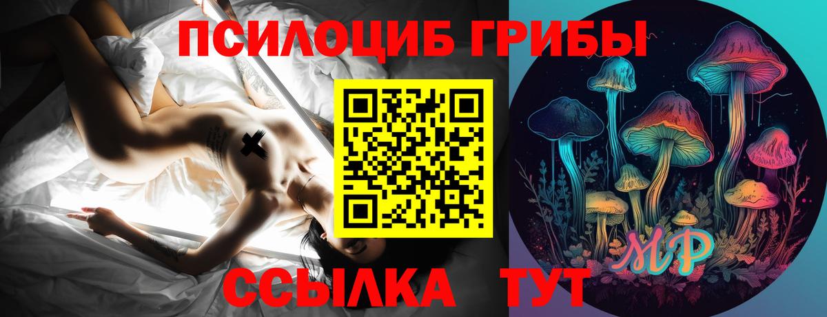 Пятигорск  где продают   Вход с VPN  Псилоцибиновые грибы прущие грибы 